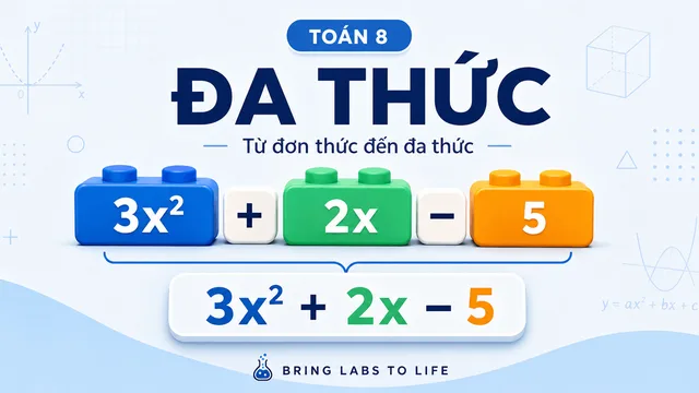 Ảnh bài học Đa thức