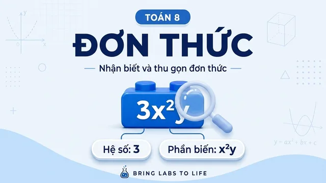 Ảnh bài học Đơn thức